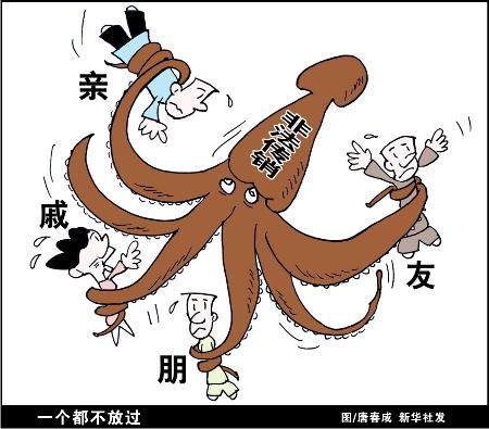 河北保定婷莱雅传销案