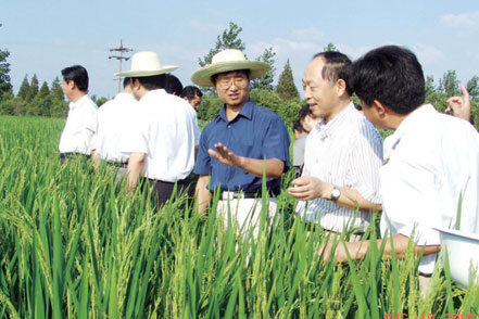 加快推进农业发展方式转变-经济网-中国经济周刊