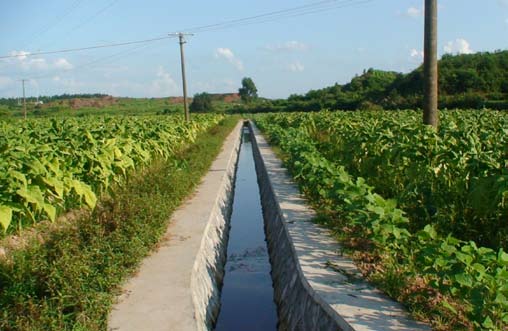 夯实基础 持续发展-经济网-中国经济周刊