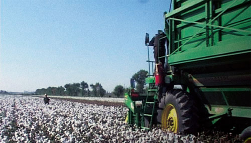 新疆棉花秋后算账-经济网-中国经济周刊