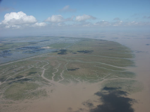崇明东滩简介-经济网
