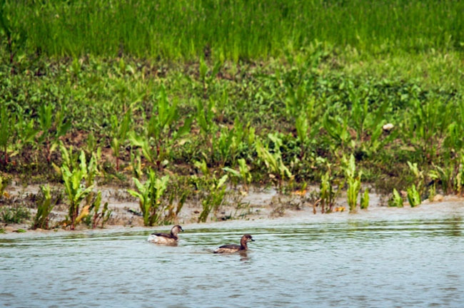 点击浏览下一页