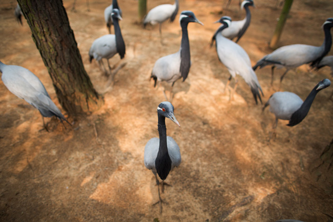 点击浏览下一页