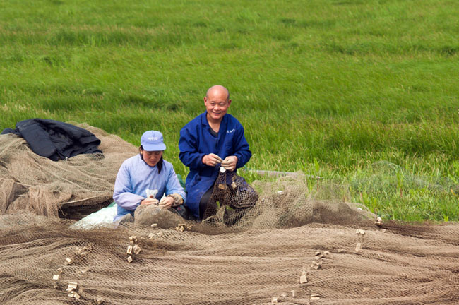 点击浏览下一页
