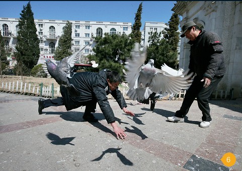 禽流感·影像史